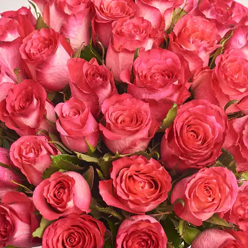 Product image Bouquet of 51 Roses Nicolette, packaging: 
Graphite, vendor code: 3365