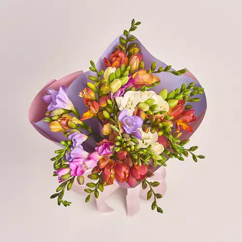 Product image Bouquet of 25 Freesias mix, packaging: Gradiens violet, vendor code: 3366