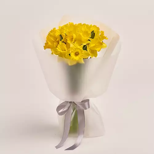 Product image Bouquet of 15 Yellow Narcissus, packaging: Transparent, vendor code: 3369