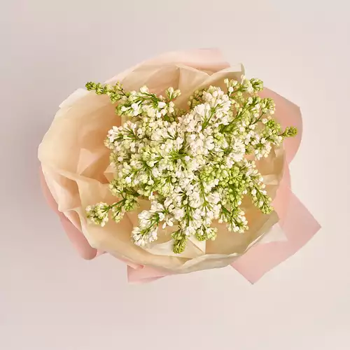 Product image Bouquet of 5 Lilacs white bunches, packaging: Kafin rose, vendor code: 3370