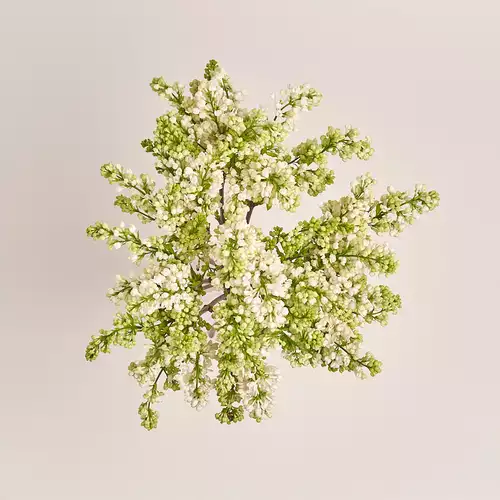 Product image Bouquet of 9 Lilacs white bunches, packaging: Without packaging, vendor code: 3371