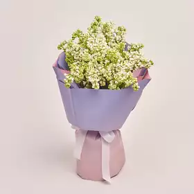 Bouquet of 9 Lilacs bunches