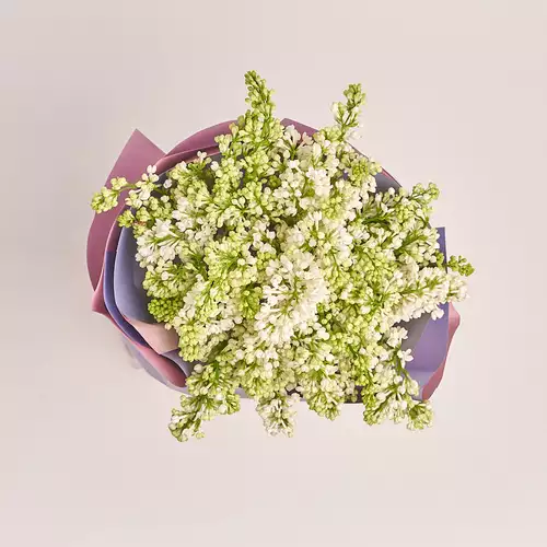 Product image Bouquet of 9 Lilacs white bunches, packaging: Gradiens violet, vendor code: 3371