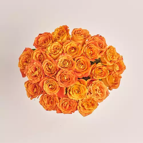 Зображення товару Букет 25 Троянд Сілантой, пакування: Без упаковки, артикул: 3372