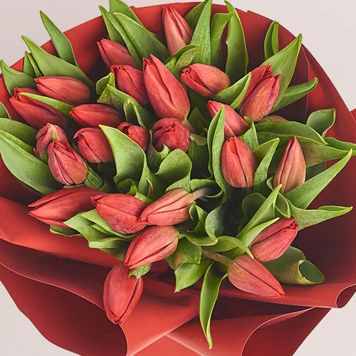 Изображение товара Букет 25 тюльпанов Стронг лав, упаковка: Красная, артикул: 3374