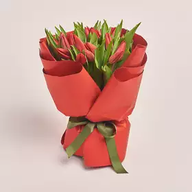 Букет 25 Червоних голандських тюльпанів