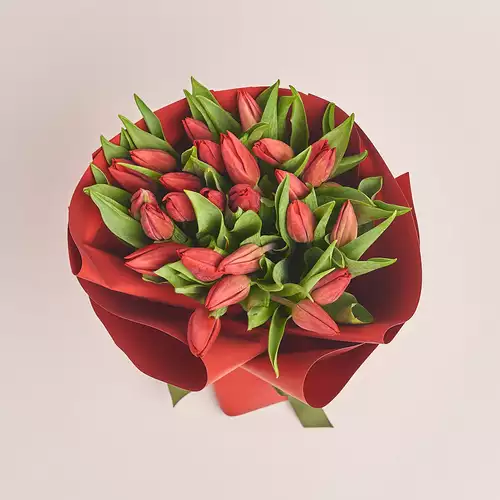 Product image Bouquet 25 Tulips Strong love, packaging: Red, vendor code: 3374