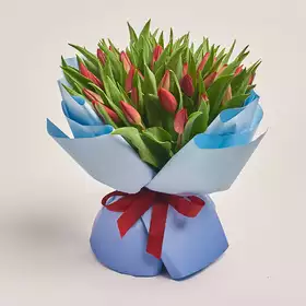Букет 51 Червоний голандський тюльпан