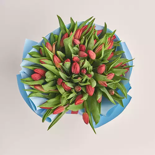 Product image Bouquet 51 Tulips Strong love, packaging: Gradiens blue, vendor code: 3375