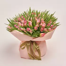 Букет 151 Світло-Рожевий піоновидний тюльпан
