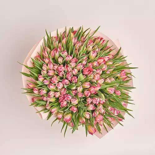 Product image Bouquet 151 Light Pink PionyTulips, packaging: Kafin rose, vendor code: 3376
