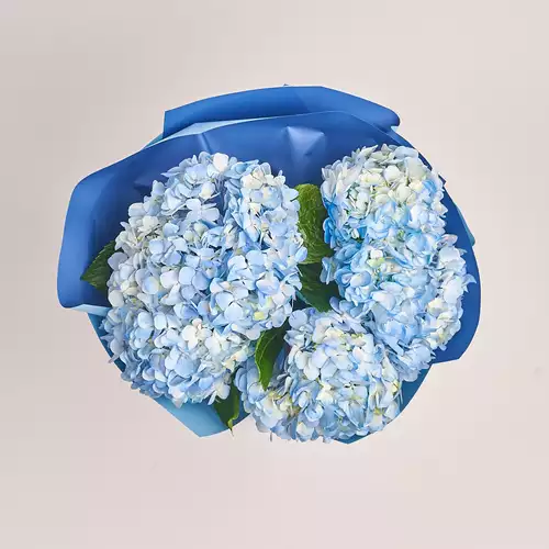 Product image Bouquet of 5 Blue Hydrangeas, packaging: Gradiens blue, vendor code: 3377