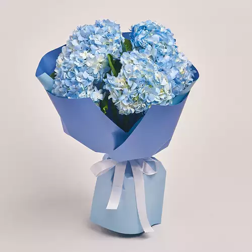 Product image Bouquet of 5 Blue Hydrangeas, packaging: Gradiens blue, vendor code: 3377