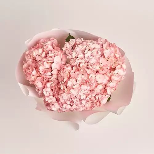 Product image Bouquet of 7 Pink Hydrangeas, packaging: White, vendor code: 3378