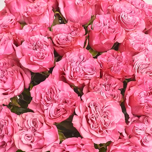 Product image Bouquet of 51 Roses Country Blues, packaging: White, vendor code: 3383