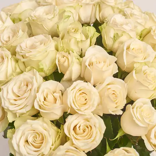 Product image Bouquet of 51 Roses Adalonia, packaging: Gradiens blue, vendor code: 3387
