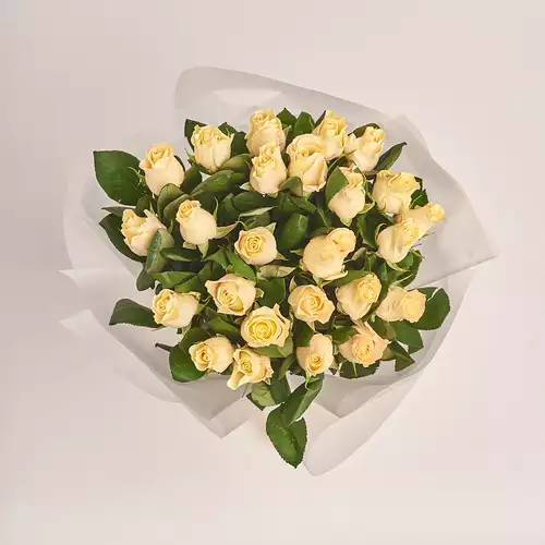 Product image Bouquet of 25 Roses Pearl Takazzi, packaging: Transparent, vendor code: 3388
