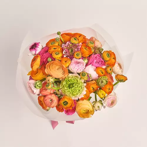 Изображение товара Букет 51 Ранункулюс Пастель микс, упаковка: Прозрачная, артикул: 3391