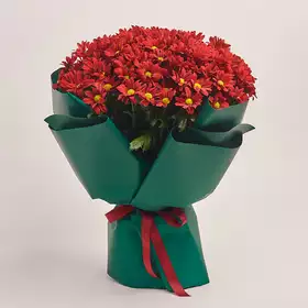 Bouquet of 25 Red Chrysanthemums