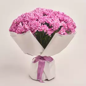 Bouquet of 25 Pink Chrysanthemums