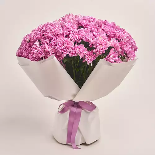 Product image Bouquet of 25 Pink Chrysanthemums, packaging: White, vendor code: 3394