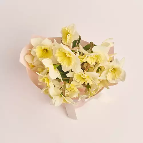 Изображение товара Букет 25 Кремовых Нарцисcов, упаковка: Каффин кремовый, артикул: 3397