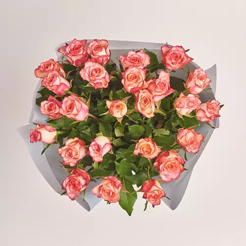 Product image Bouquet of 25 Roses Spark Condor, packaging: Gray, vendor code: 3398