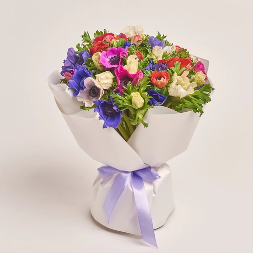 Product image Bouquet of 51 Аnemones mix, packaging: White, vendor code: 3400