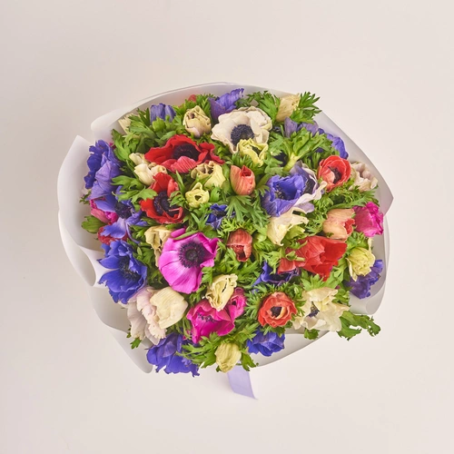 Product image Bouquet of 51 Аnemones mix, packaging: White, vendor code: 3400