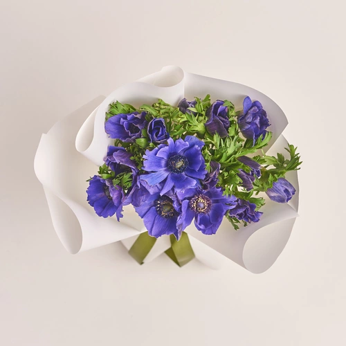 Product image Bouquet of 15 Purple Аnemones, packaging: White, vendor code: 3404