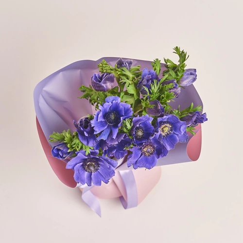 Product image Bouquet of 15 Purple Аnemones, packaging: Gradiens violet, vendor code: 3404