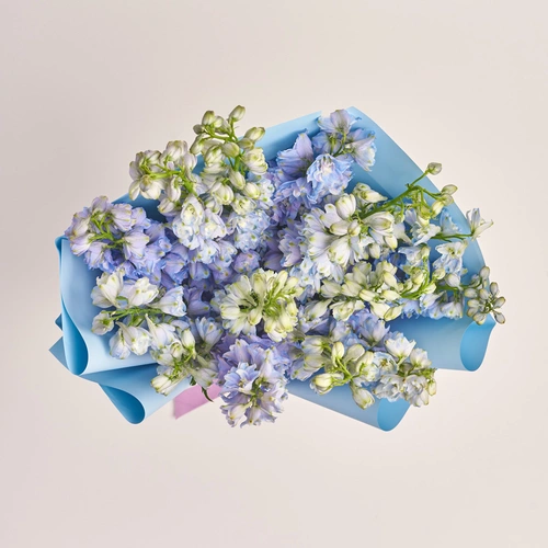 Product image Bouquet of 15 Delphiniums tender Мix, packaging: Gradiens blue, vendor code: 3406