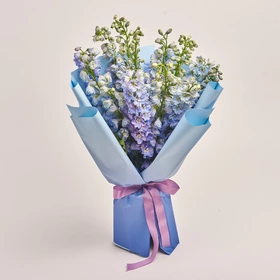 Bouquet of 15 Delphiniums lavender