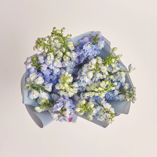 Product image Bouquet of 15 Delphiniums tender mix, packaging: Gray, vendor code: 3406