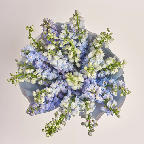 Product image Bouquet of 25 Delphiniums tender Мix, packaging: Gray, vendor code: 3407