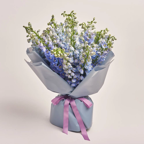Product image Bouquet of 25 Delphiniums tender Мix, packaging: Gray, vendor code: 3407