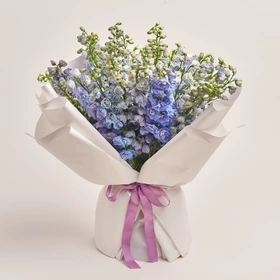 Bouquet of 25 Delphiniums lavender