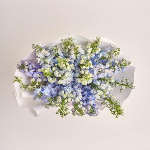 Product image Bouquet of 25 Delphiniums tender mix, packaging: White, vendor code: 3407