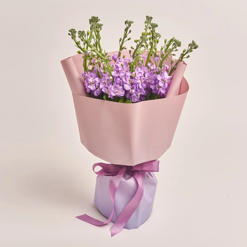 Product image Bouquet of 15 Matthioles Lavender, packaging: Gradiens violet, vendor code: 3414