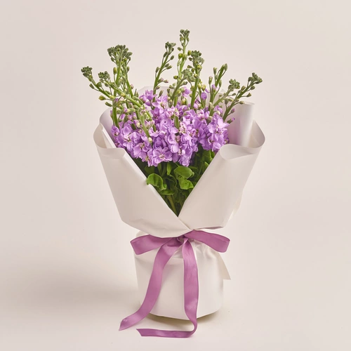 Product image , vendor code: 