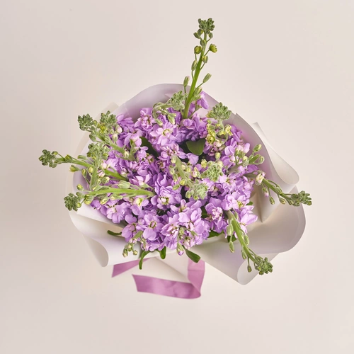 Product image Bouquet of 15 Matthioles Lavender, packaging: White, vendor code: 3414