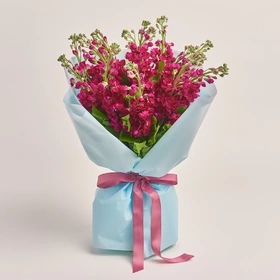 Product image Bouquet of 15 Red Matthioles, packaging: Blue, vendor code: 3415