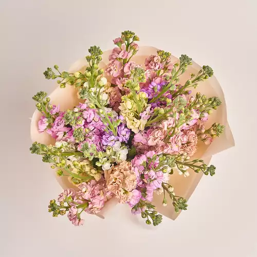 Зображення товару Букет 25 Матіол Мікс, пакування: Персикова, артикул: 3416