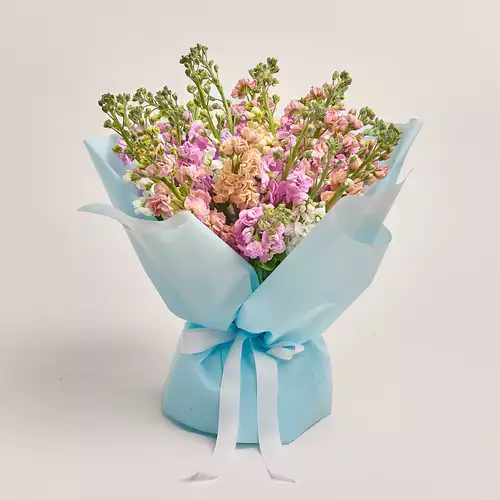 Product image Bouquet of 25 Matthioles mix, packaging: Blue, vendor code: 3416