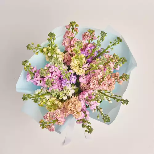 Product image Bouquet of 25 Matthioles mix, packaging: Blue, vendor code: 3416