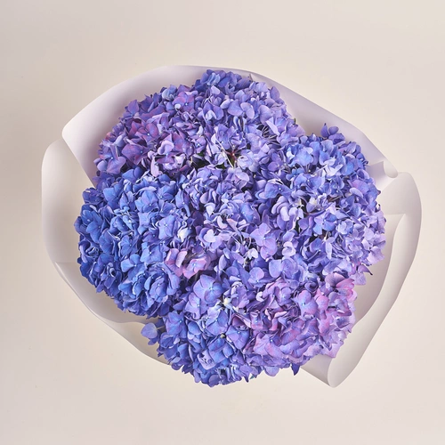 Product image Bouquet of 9 Purple Hydrangeas, packaging: White, vendor code: 3417