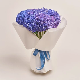 Bouquet of 9 Purple Hydrangeas