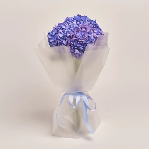 Product image Bouquet of 5 Purple Hydrangeas, packaging: Transparent, vendor code: 3418