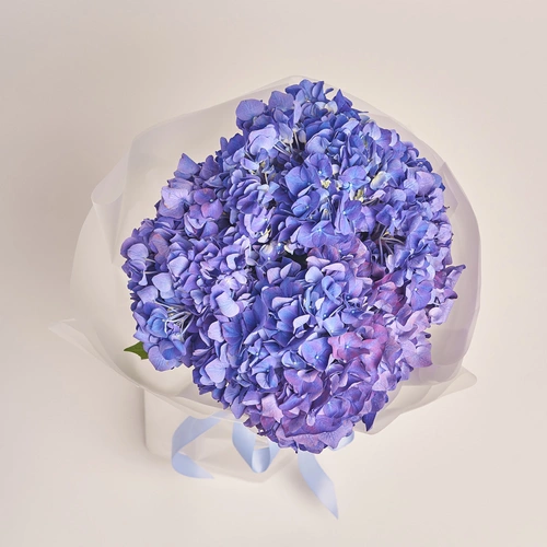 Product image Bouquet of 5 Purple Hydrangeas, packaging: Transparent, vendor code: 3418