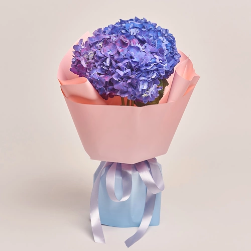 Product image Bouquet of 3 Purple Hydrangeas, packaging: Gradiens light blue, vendor code: 3419